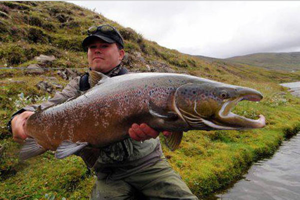 fishing iceland